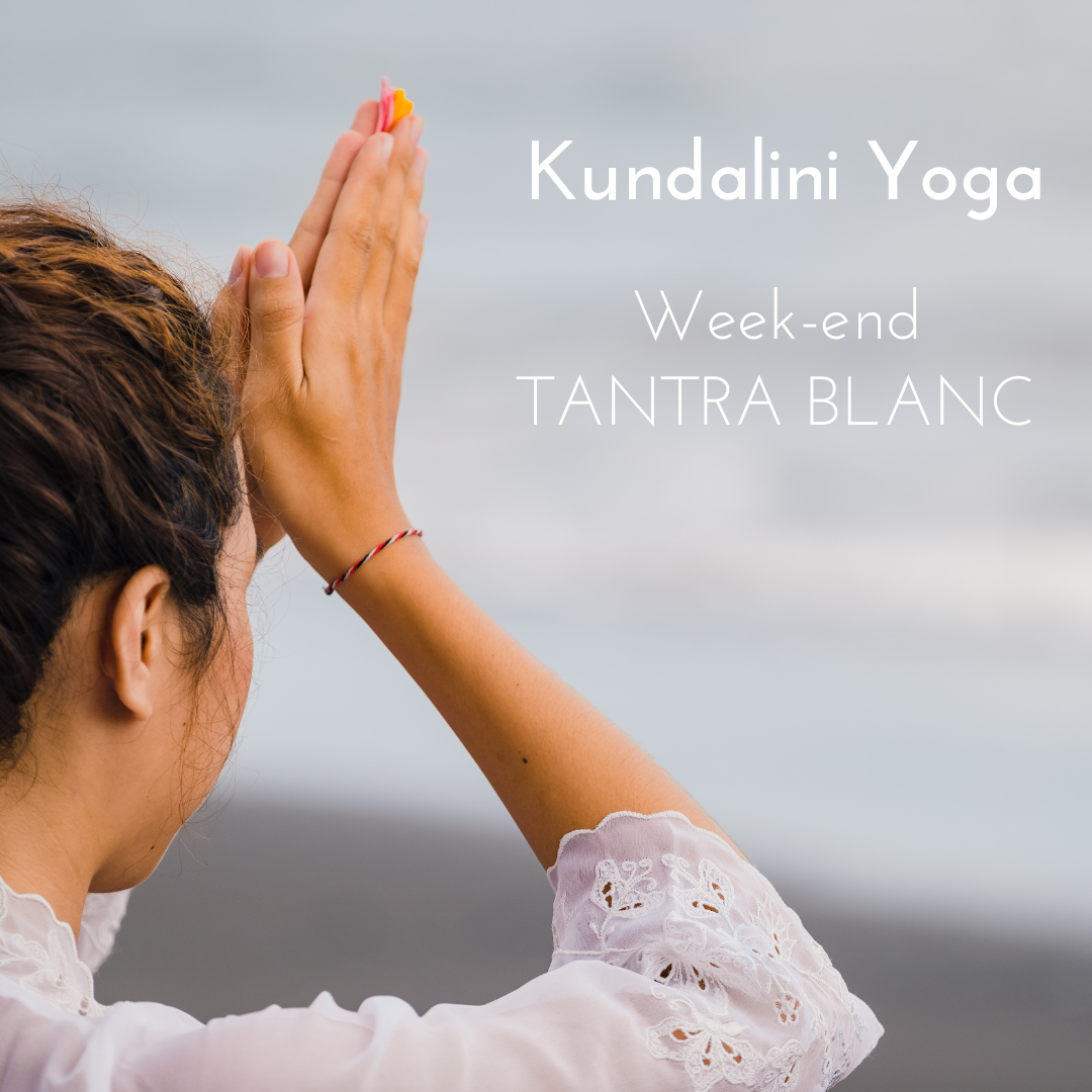 WE Tantra BLanc en Janvier 2027